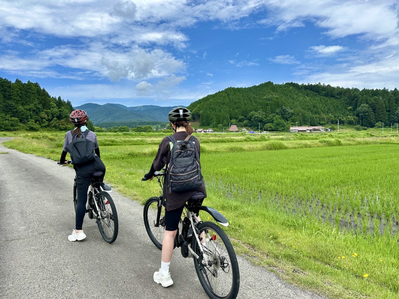 のどかな田舎道・・・